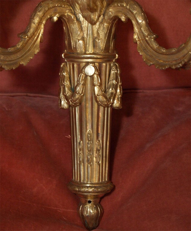 Bronze Single bronze d'ore Louis XVI  applique