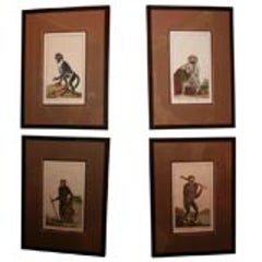 Set of Four 18th Century Naturalist Engravings of Monkeys 8