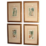 Early 19th Century Set of Four Engravings by Dr. David Dietrich