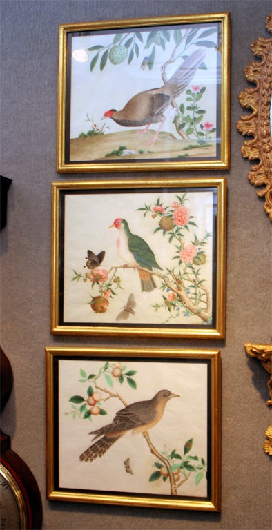 19th Century Chinese bird paintings