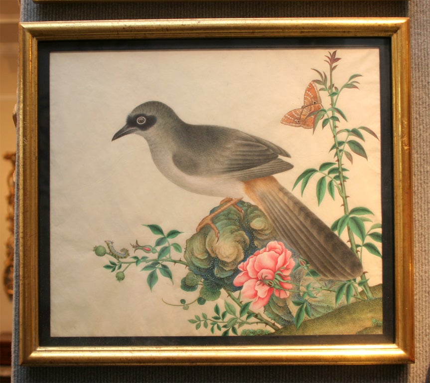 Chinese bird paintings 1