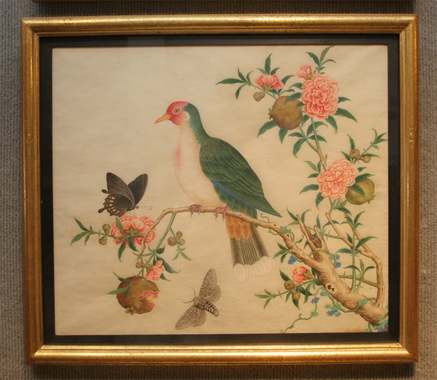 Chinese bird paintings 2