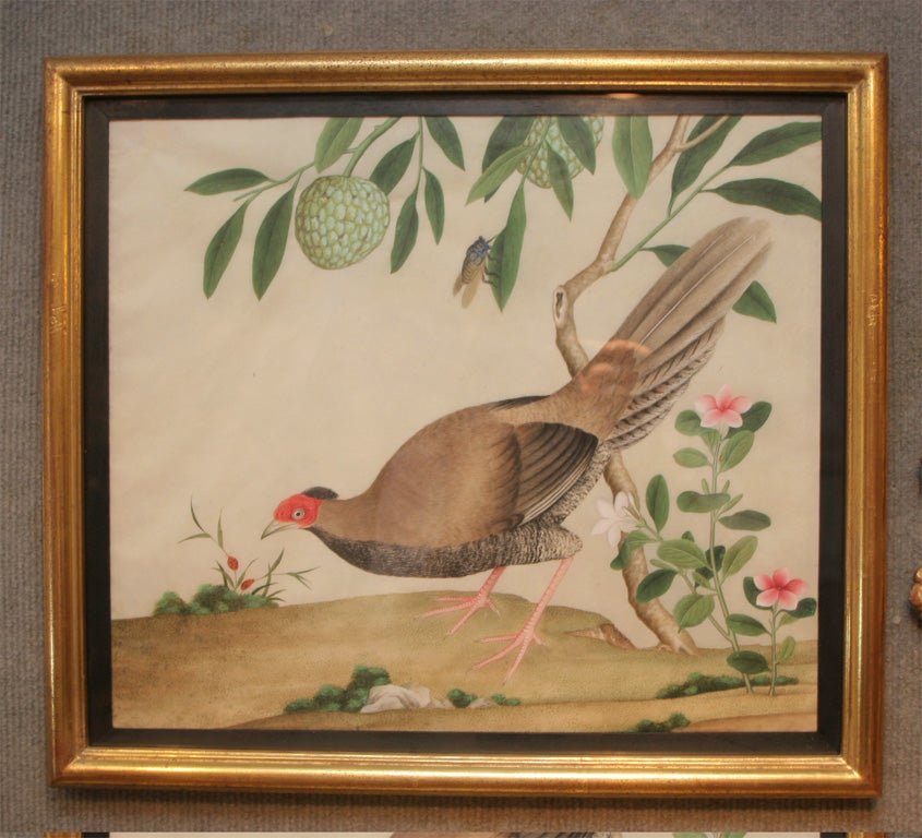 Chinese bird paintings 3