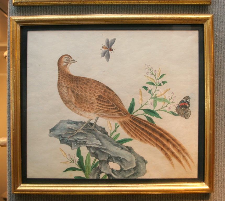 Chinese bird paintings 4