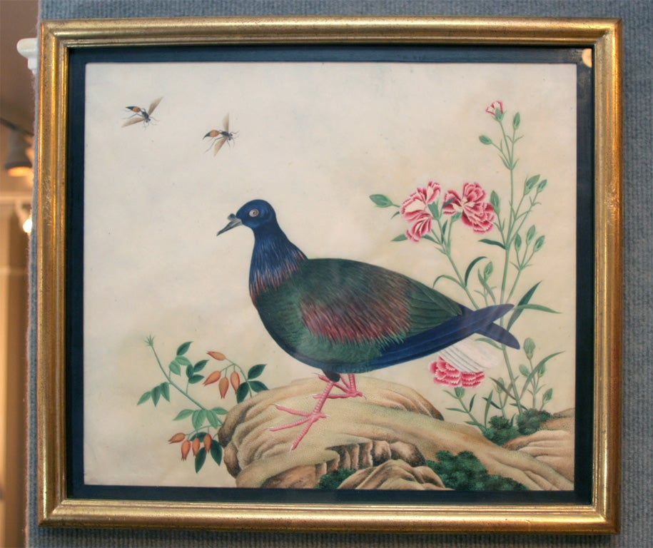 Chinese bird paintings 5