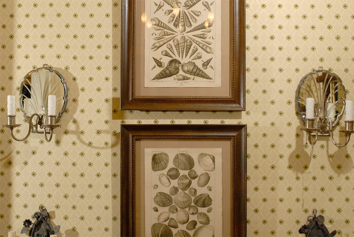Pair of mirror back sconces