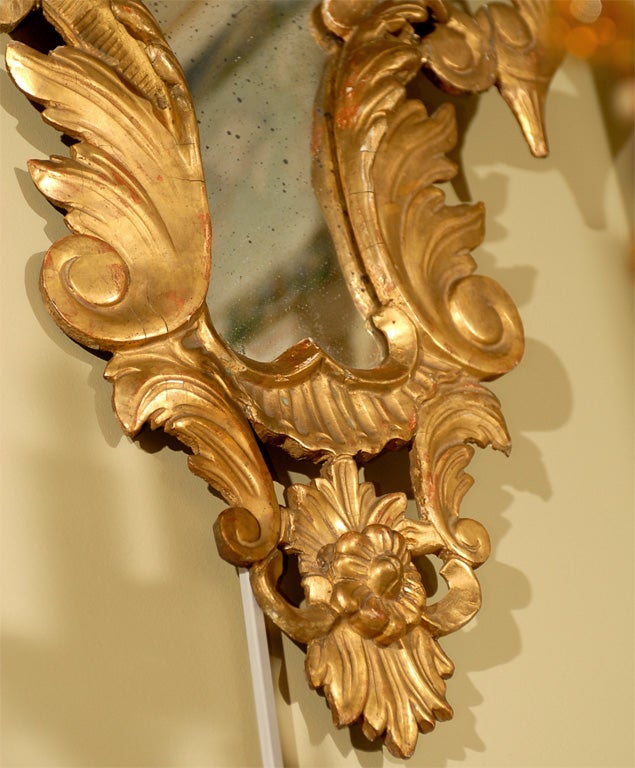 Pair of Italian gilt mirrors 4