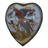 Antique Taxidermy Tropical Bird Diorama