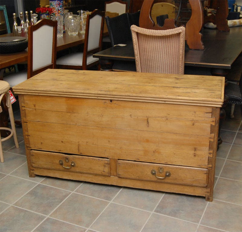Old Pine Mule Chest