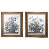 Pair French 18th Century handcolored engravings