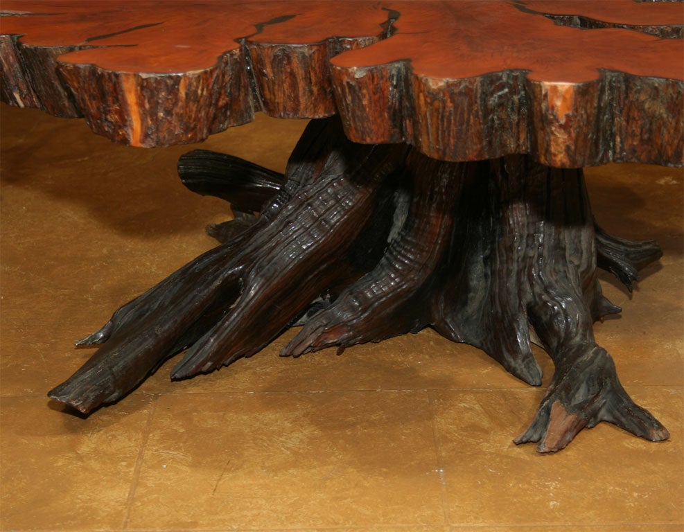 A wood coffee table comprised of a cross-sectioned tree trunk and assembled root base with a resin finish.