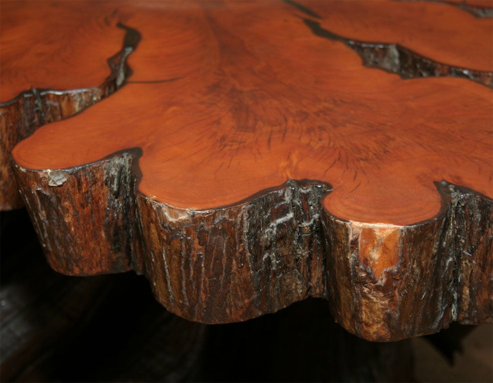 tree cross section table