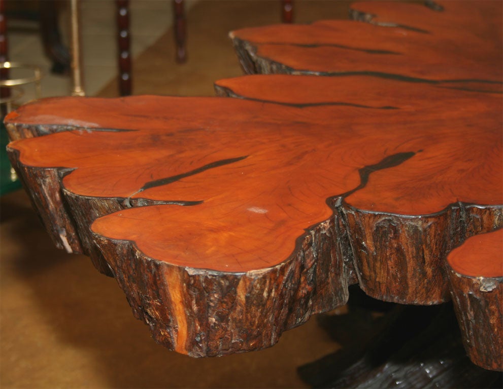 American Cross -Sectioned Tree Trunk Coffee Table
