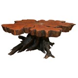 Cross -Sectioned Tree Trunk Coffee Table