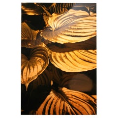 "Swelling Whispers" No. 1 by Jonás Hidalgo