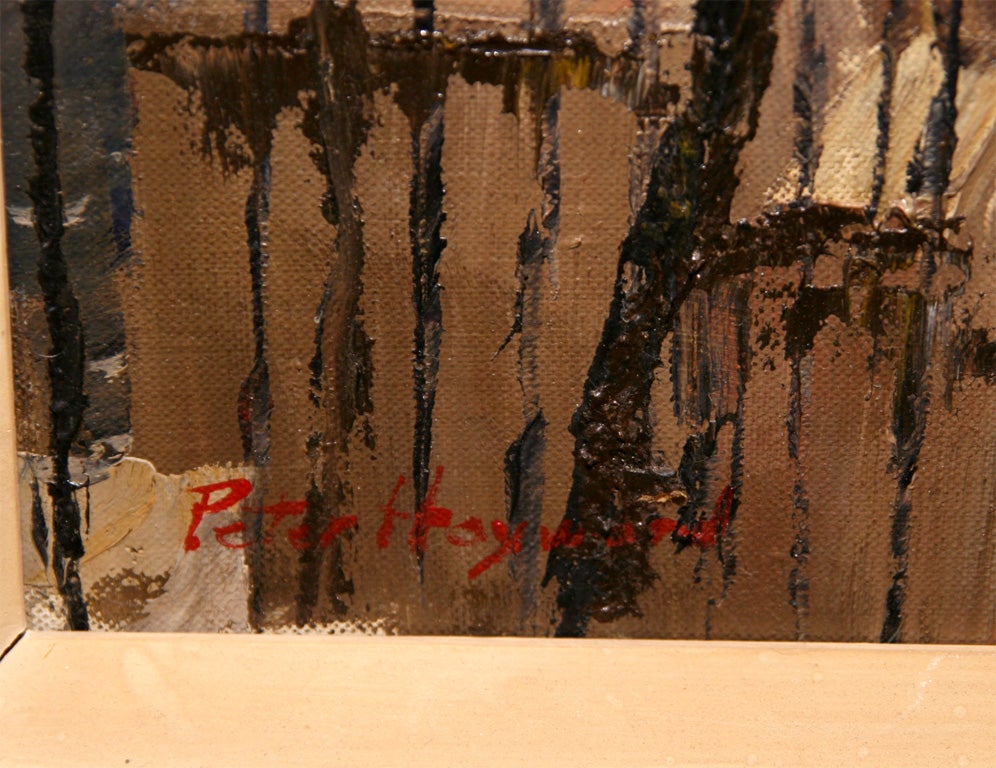 peter hayward artist