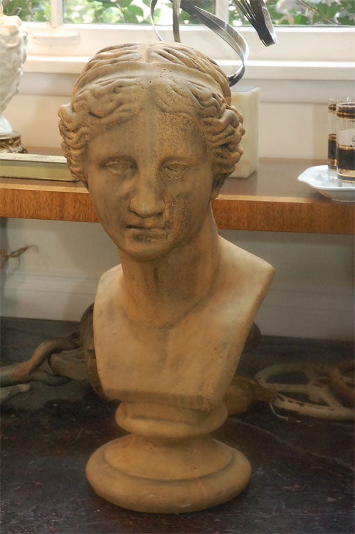 Large Tan Classic Bust