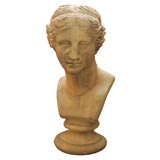 Large Tan Classic Bust