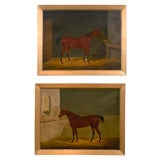 Pair of Large English Horse Paintings