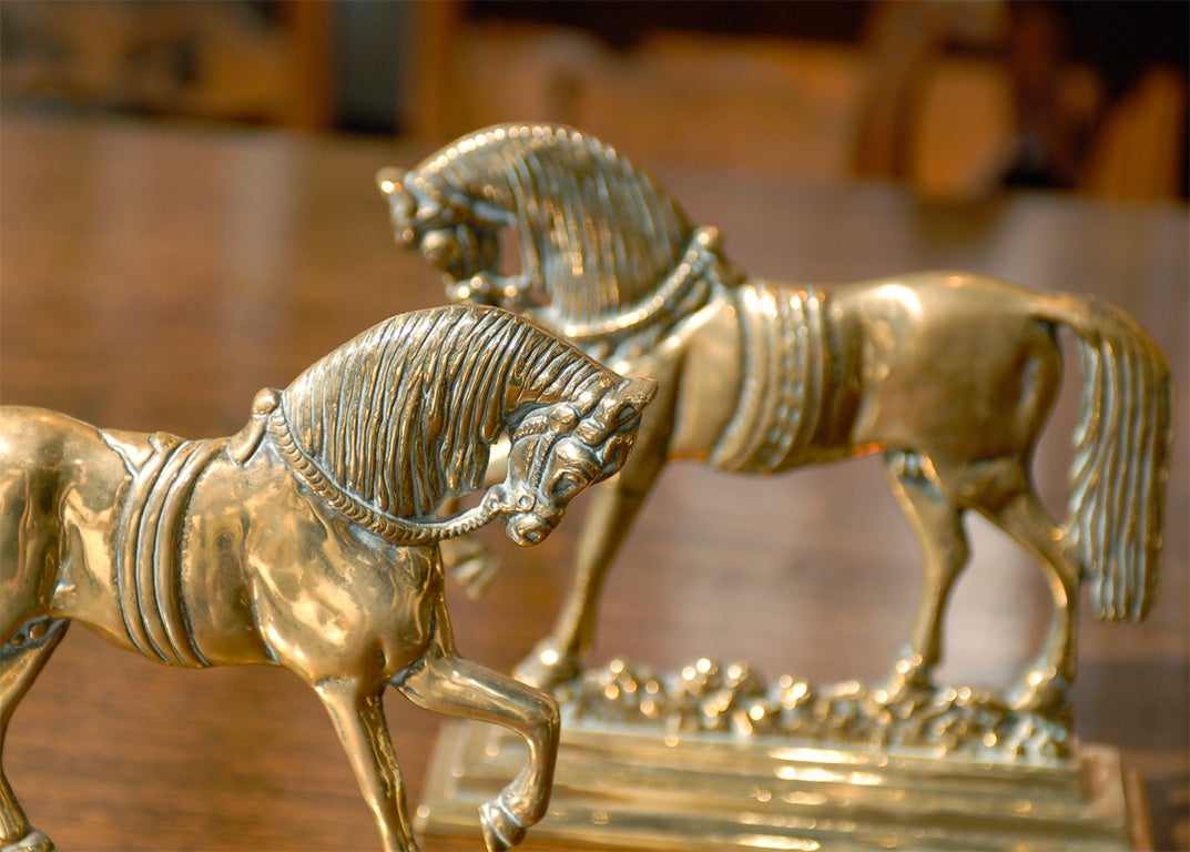 Pair of English Early 20th Century Small Size Brass Horses on Rectangular Base 4