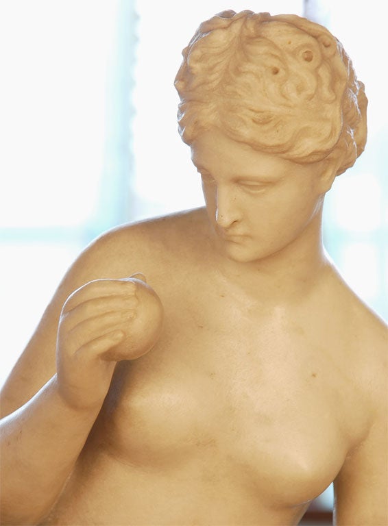Marble Statue of Venus 1