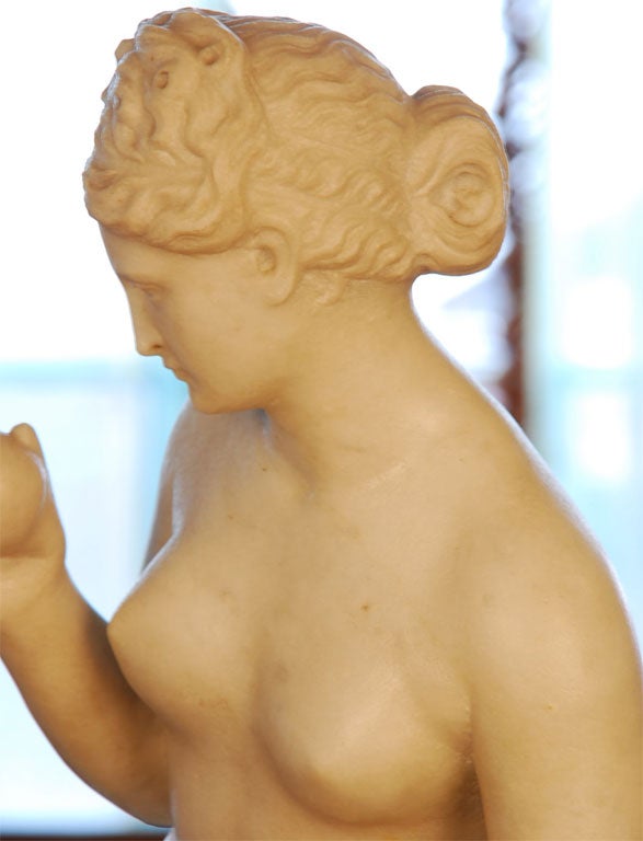 Marble Statue of Venus 3
