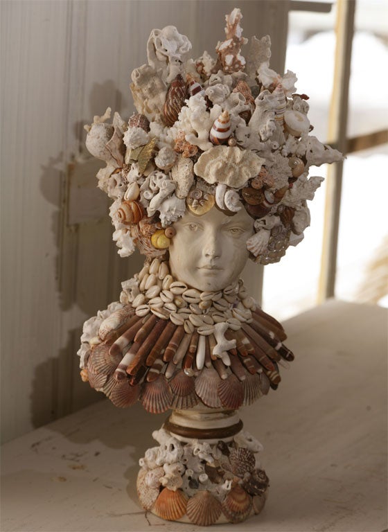 seashell bust