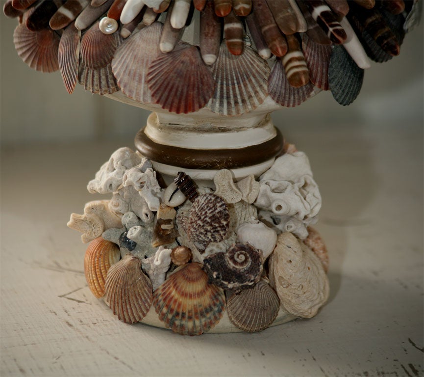 Fanciful Sea Shell Bust In Excellent Condition In Sheffield, MA