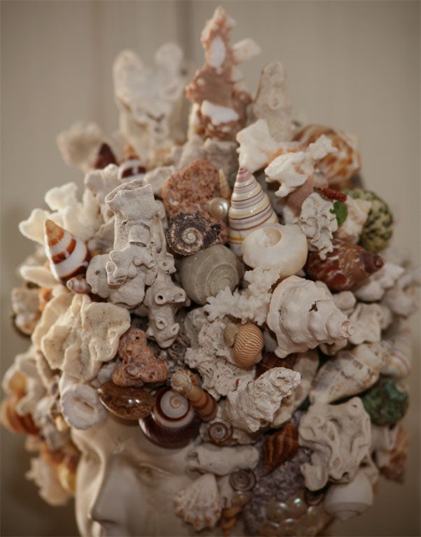 Coral Fanciful Sea Shell Bust