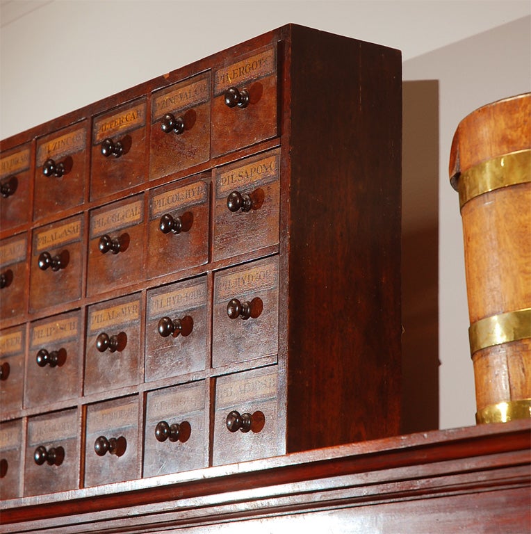 Wood Early 19th Century English Apothecary Wall Chest with Handwritten Labels