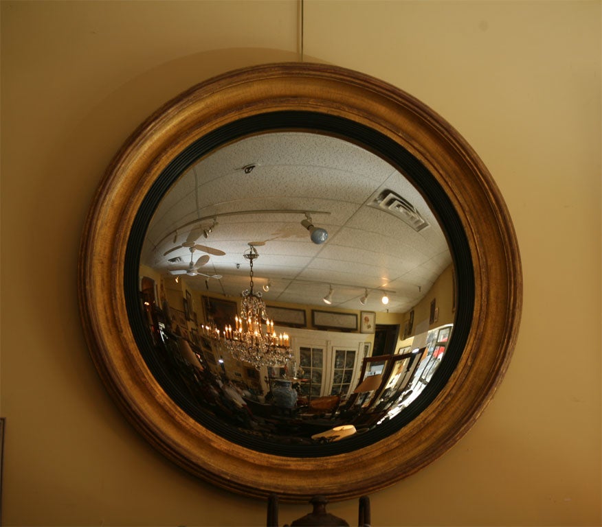 Convex mirror beautifully water gilded with black boarder around glass.