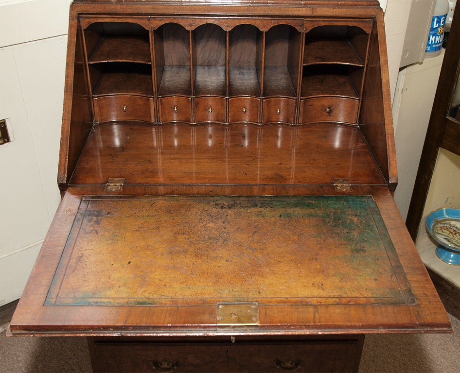 Burled Walnut Secretary 1