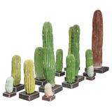 Collection of  Faux Cactus