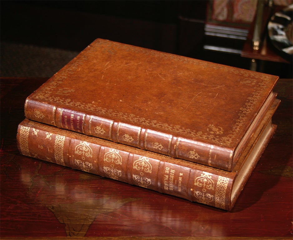 A 19th Century Set of Antique Books Bound as a Box