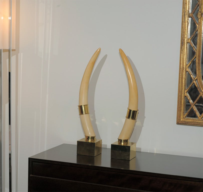 Brass Faux Ivory Tusks by Chapman