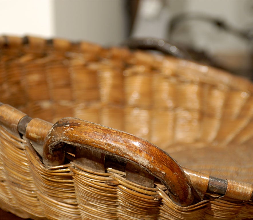 19th Century French Winnowing Basket 5