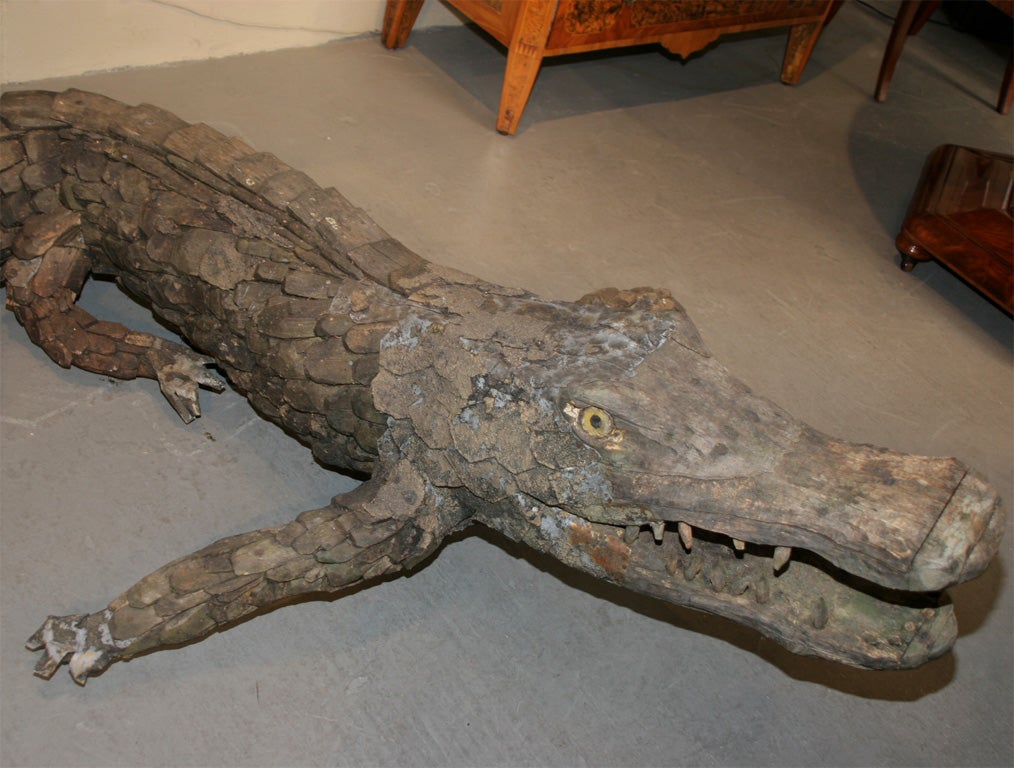 Unique Alligator 3