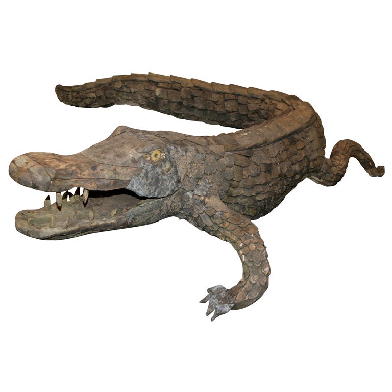 Unique Alligator