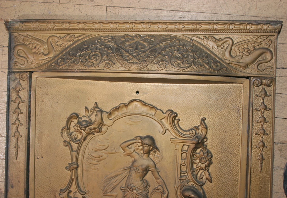 Fireplace Insert