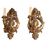 Pair of Italian Gilt wood Sconces