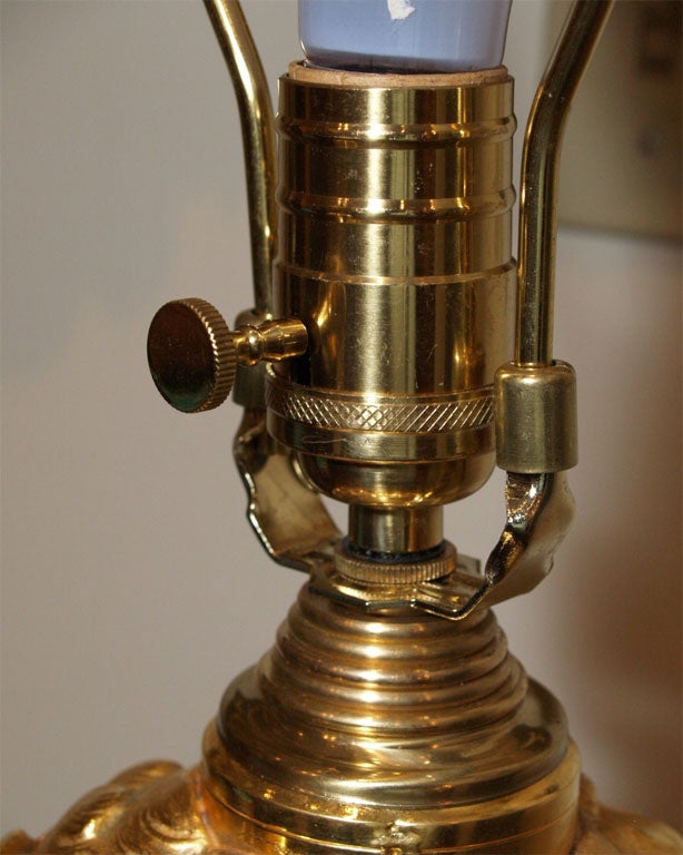 French Gilt Bronze Oil Lamp Cockatoo on Turtle 6