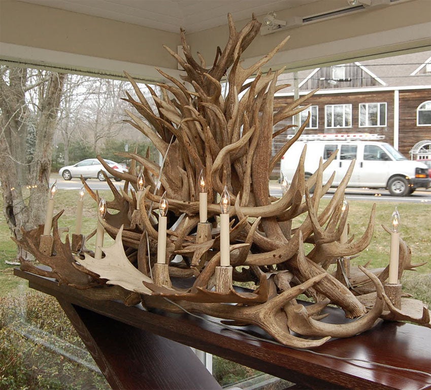 14 Candle Antler Chandelier