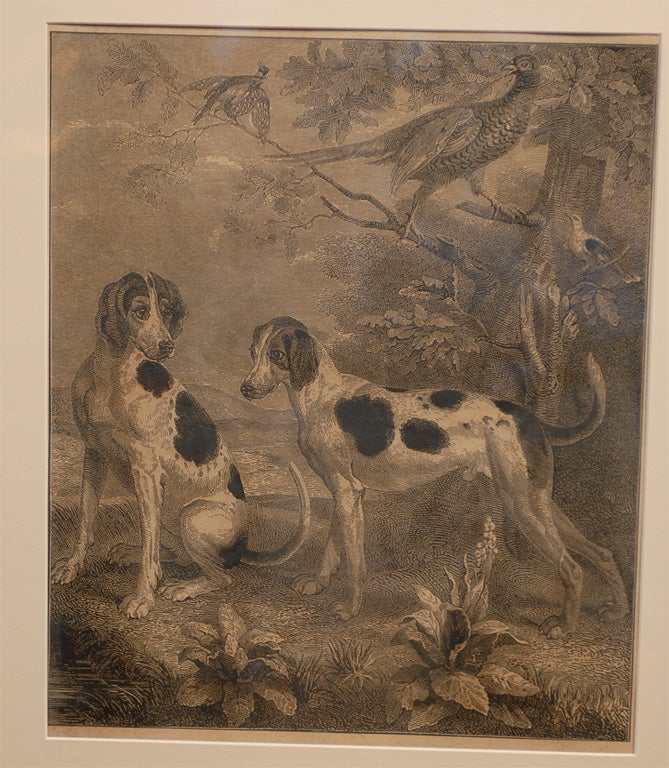 19th Century English Dog Engravings, 'Restrike from the Original, Circa 1820s Plate'