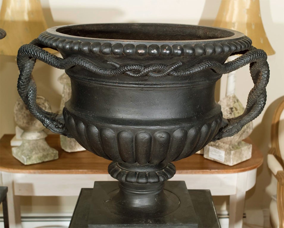 This large and very rare pair of modified tazza-form urns feature double-entwined snake head handles, beaded rims, third-lobed bodies and square feet. These urns stand alone as sculpture, having been redone in matte black paint with a waxed