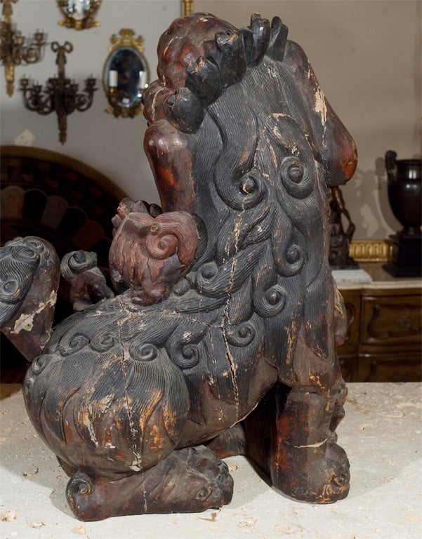 Wood Pair lacquered, painted over gesso, carved wood Foo dogs