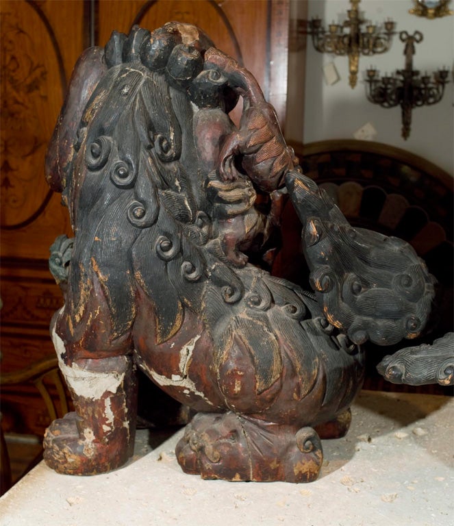 Pair lacquered, painted over gesso, carved wood Foo dogs 1