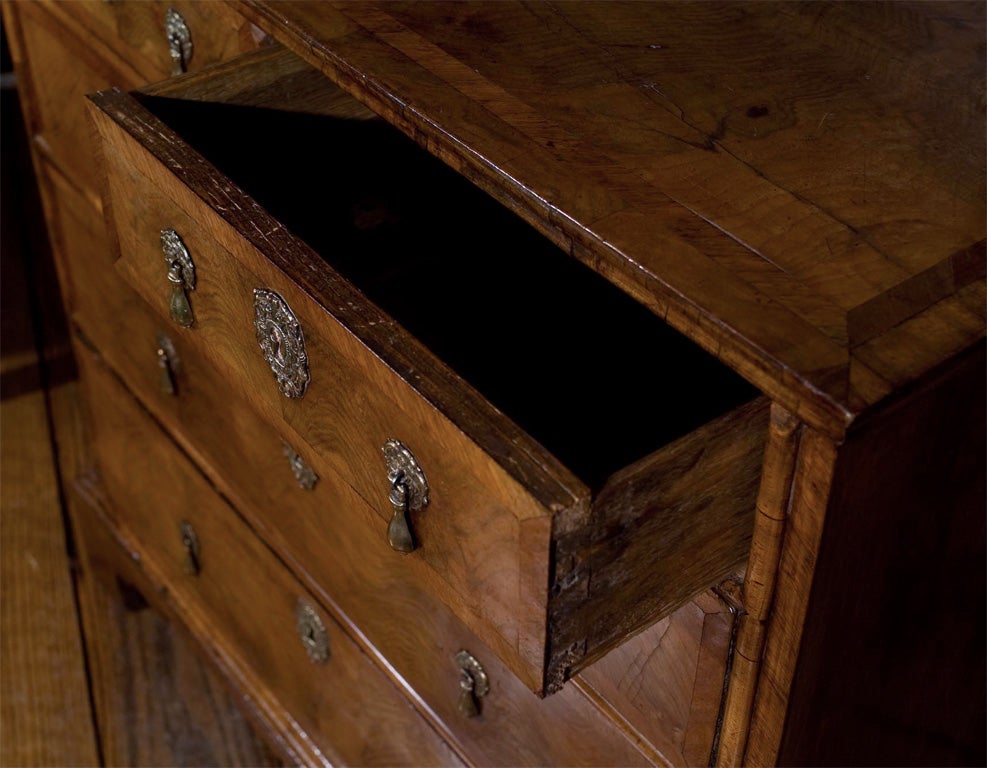 walnut chest of drawers for sale