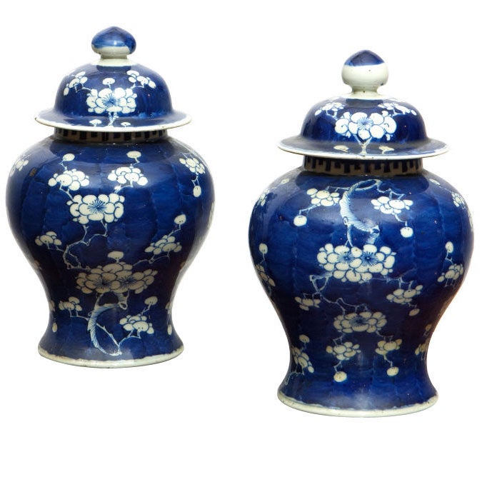 Pair of 19th Century Blue & White Temple Jars