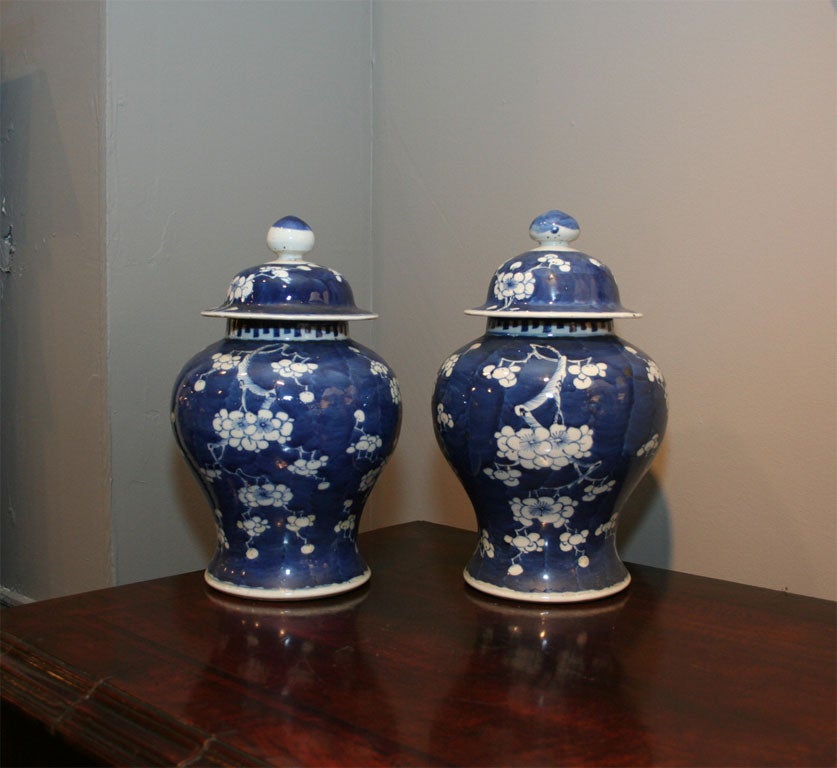 Chinese Pair of 19th Century Blue & White Temple Jars