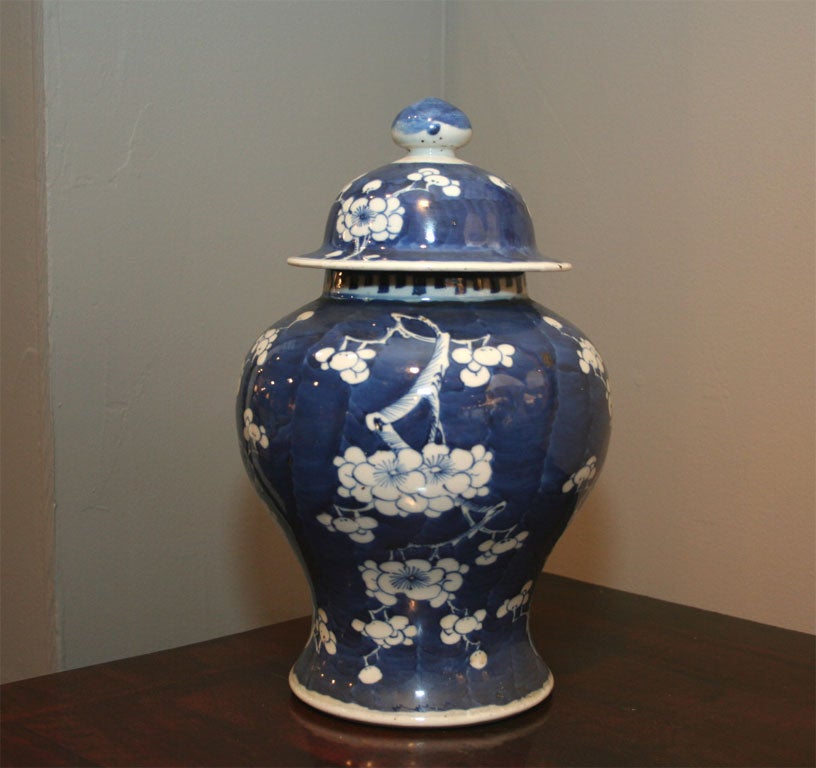 Porcelain Pair of 19th Century Blue & White Temple Jars